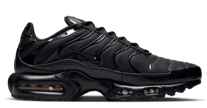 Nike Air Max Plus Sneakers – Triple Black