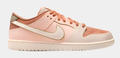 Nike SB Dunk Low Pro Premium "Trocadéro Gardens" FV5926-200